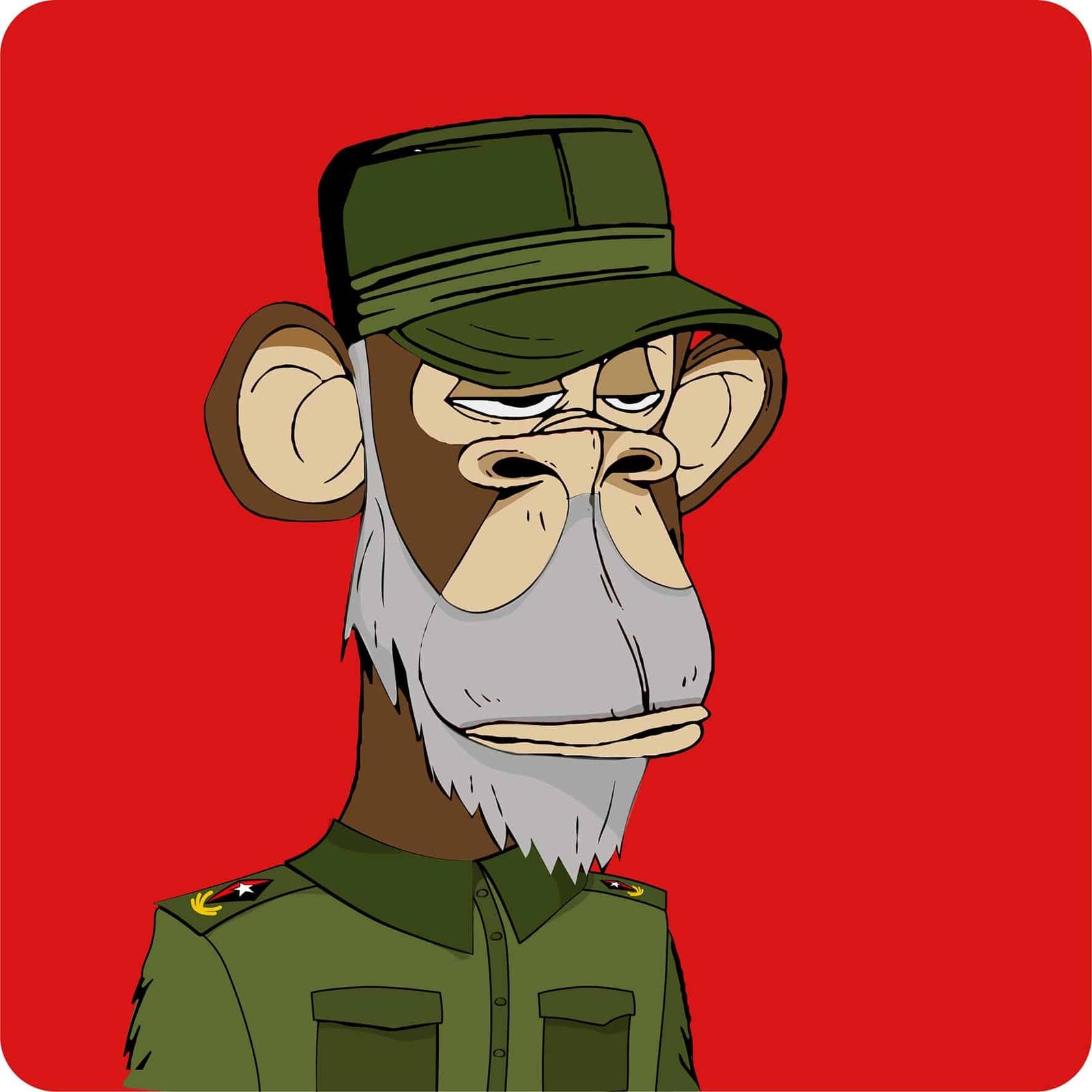 nft_fidelcastro_correacreativa